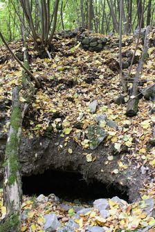 ... pivnica rozpadnuteho kastiela ...