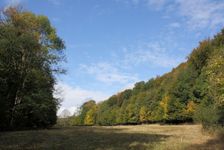 ... luky Miglinca ...