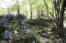 ... rozvaliny starej mastale - podla informacie lesnej straze bola zaminovana ...