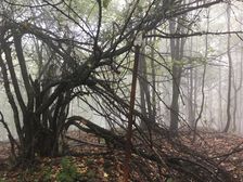 Malý Bukovec - vrchol