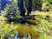 na mieste> Rekreačný areál STRIEBORNICA