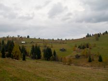 Krátke