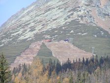 Solisko