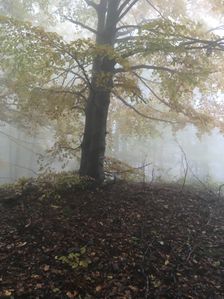 Stolová - najvyšší vrch Malého Bukovca