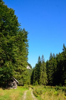 Dolina Selenec, krmelec