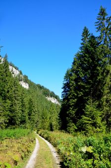 Veľká Selenecká hrana