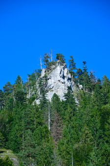 Prostredný Selenecký zub