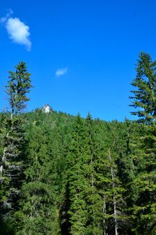 Prostredný Selenecký zub