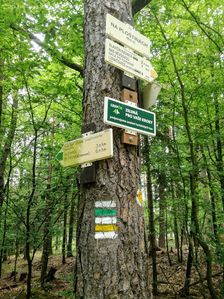 na mieste >Ploštiny, na pomedzí chotárov obci Rudimov a Slavičín.