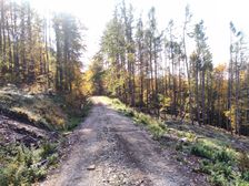 Z Liešnej na Vlčí Vrch