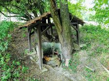 Kyselka