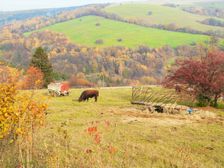 Žítková -Bílé Karpaty, Slovácko