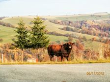 Žítková -Bílé Karpaty, Slovácko