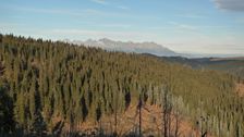 pohľad na Vysoké Tatry