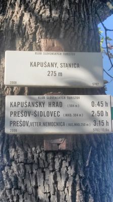 Kapušany, stanica