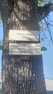 Kapušany, stanica