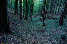 Zostup