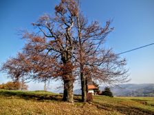 Vyškovec-Moravské kopanice...pri zvoničke