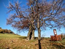 Vyškovec-Moravské kopanice...pri zvoničke