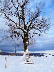 Moravské kopanice-Žítková