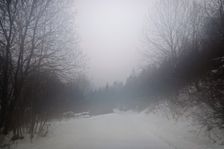 Delava