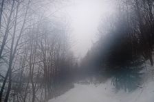 Delava