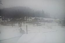 Delava