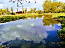 Bodovský rybník