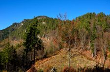 Capkovo (Selnice) 1244m