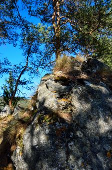 Urdanovo 947m, bralo