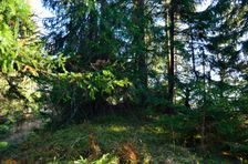 Capkovo (Selnice) 1244m