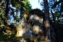 Capkovo (Selnice) 1244m, vrchol