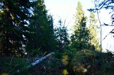 Capkovo (Selnice) 1244m, vrchol