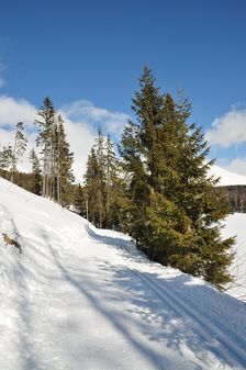 Štrbské Pleso