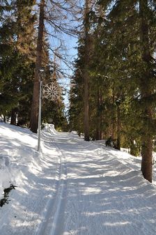 Štrbské Pleso