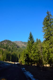 Bukov 1218m & Bukovček 815m