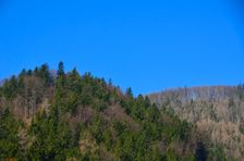Bukovček 815m