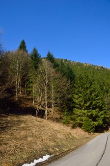 Cesta III. triedy 018107
