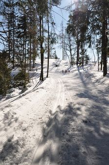 Štrbské Pleso