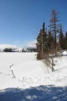 Štrbské Pleso