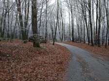 Cesta do Klátovej Novej Vsi