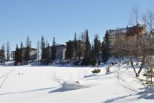 Štrbské Pleso
