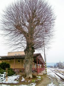  Železničná stanica Nemšová