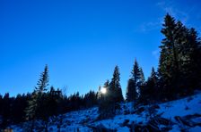 Tvarožný grúň, rúbanisko