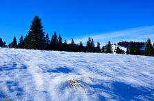 Švošovská hoľa 1318m