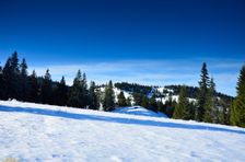 Švošovská hoľa 1318m & 1324m