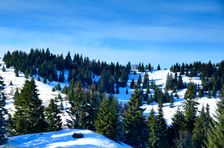 Švošovská hoľa 1318m & 1324m