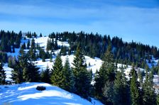 Švošovská hoľa 1324m