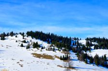 Švošovská hoľa 1318m & 1324m