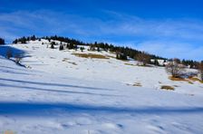 Švošovská hoľa 1318m